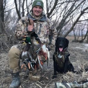 Meet your Posher, Ken